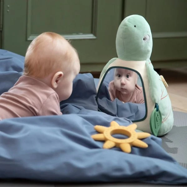 Sebra Turbo The Turtle Activiteitenknuffel 4 Sebra Turbo The Turtle Activiteitenknuffel - Afbeelding 2