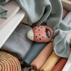 Sebra Luca The Ladybird Bijtring -Kinderspeelgoed 5704680064691 2 5d29