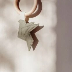 BEZISA Birds Bijtring Pistache Green -Kinderspeelgoed 8720618125392 3 8eea