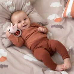 Done By Deer Birdee Ringrammelaar - Powder -Kinderspeelgoed Done By Deer Birdee Ringrammelaar Powder 4 bdcb