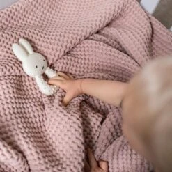 Nijntje Bijtspeeltje -Kinderspeelgoed Nijntje Bijtring 10 4473