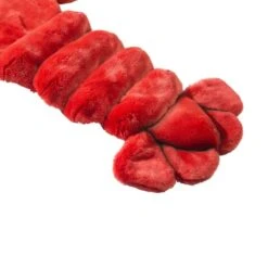 Wild & Soft Dierenkostuum - Kreeft -Kinderspeelgoed Wild Soft Dierenkostuum Kreeft 3 a14d