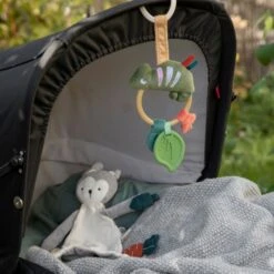 Sebra Carley The Chameleon Activiteitenring 5 Sebra Carley The Chameleon Activiteitenring -Kinderspeelgoed sebra carley the chameleon activiteitenring b1d7